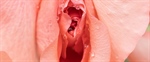 An essential guide to understanding vaginal health: what's normal and when to seek help
