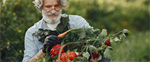 Allotments: the ultimate guide to growing your own food for beginners